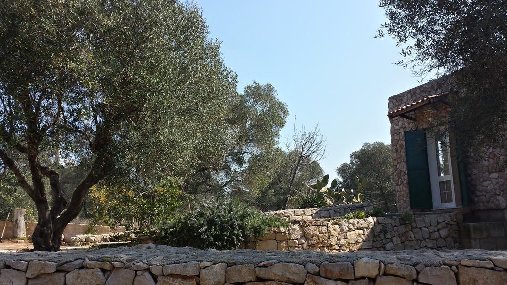 Villa Minteco Patù Kamer foto