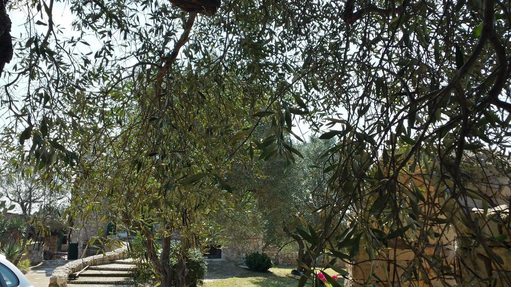 Villa Minteco Patù Buitenkant foto