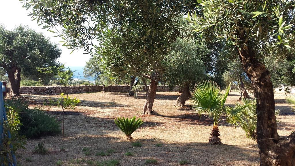 Villa Minteco Patù Buitenkant foto