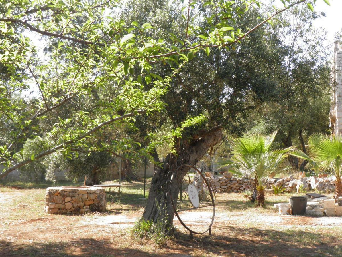 Villa Minteco Patù Buitenkant foto