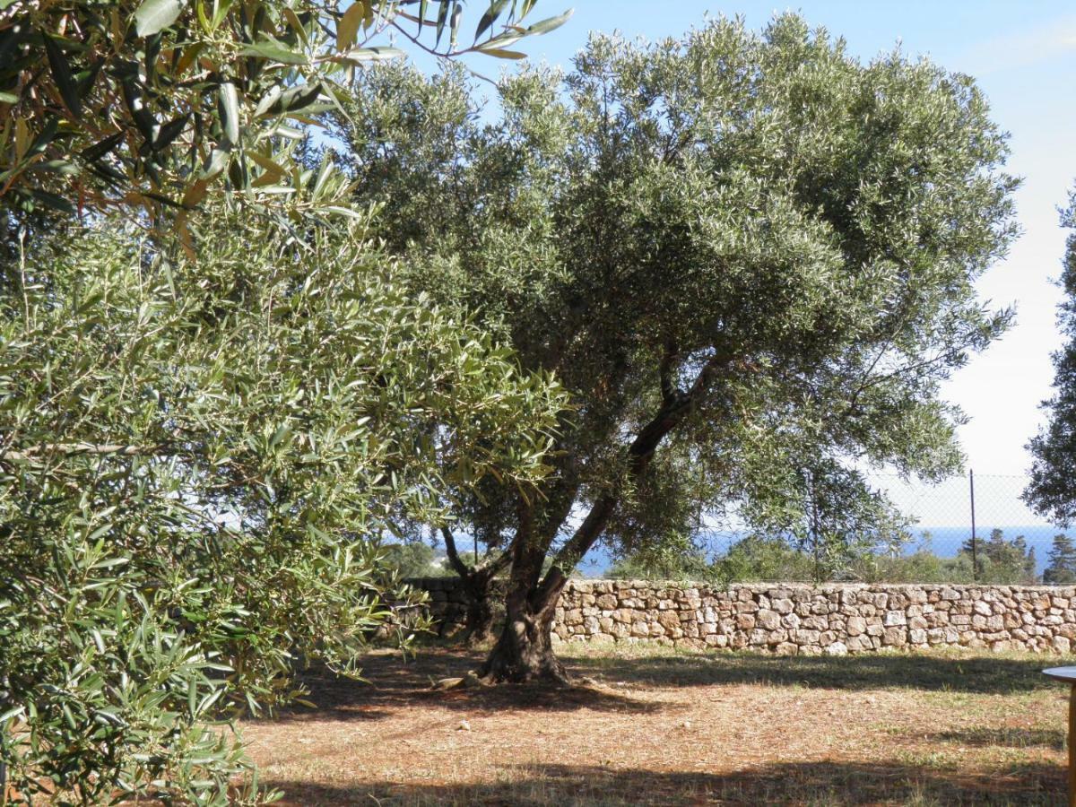 Villa Minteco Patù Buitenkant foto