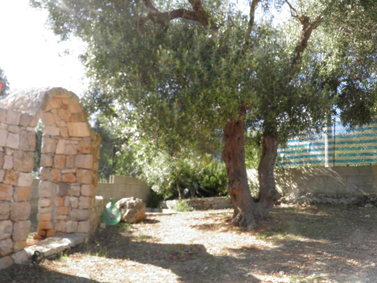 Villa Minteco Patù Buitenkant foto